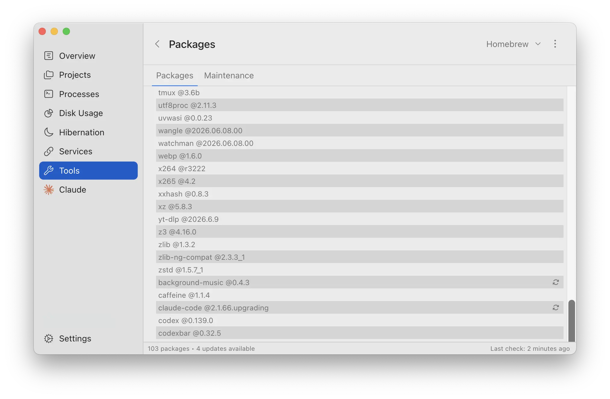 Global packages across all package managers