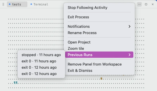 A row's menu with Previous Runs open, listing earlier runs with their exit status and time
